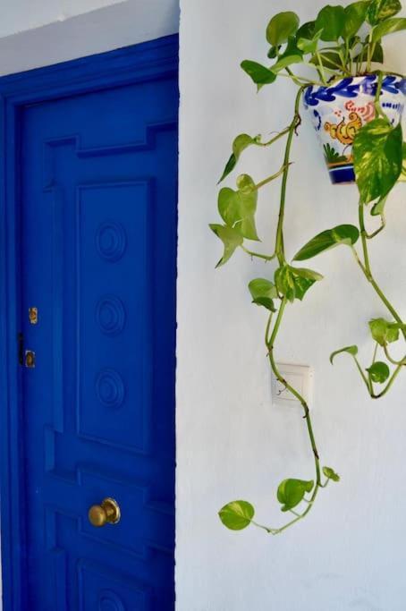 Apartamento En Sevilla Centro Con Vistas A La Plaza Alameda De Hercules - Hasta 6 Personas Buitenkant foto